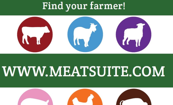 Meatsuite.com