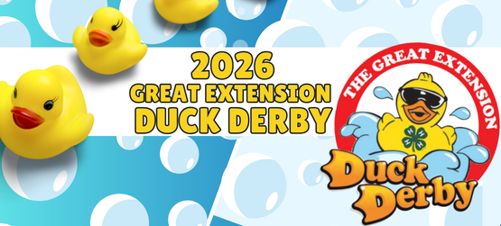 Duck Derby