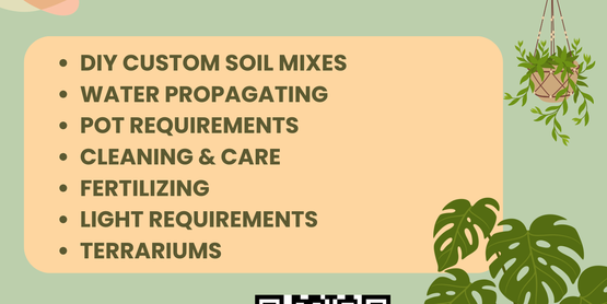houseplant seminar flyer 