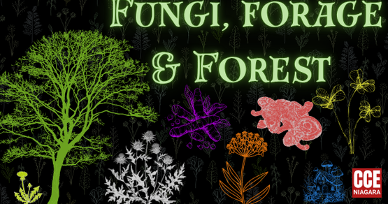Forest, Forage, & Fungi