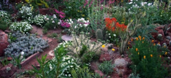 As a life-long gardener and retired environmental engineer, Maggie Reilly is a master at blending art and science when creating beautiful and diverse landscapes.

Her presentation will focus on how to use native plants in traditional garden design to create outdoor spaces that are healthy, inspiring, and enriching. Maggie has been a speaker at the Hamilton Arboretum Speaker Series and local garden clubs. She is going to have a weekly spot, Maggie’s Minute, on "Along the Mohawk” podcast discussing native gardening. She is also Vice President of Wild Ones Mohawk Valley.