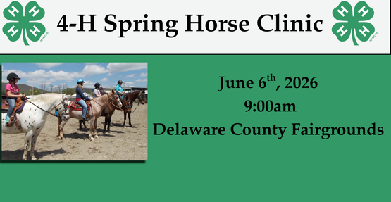 Horse clinic