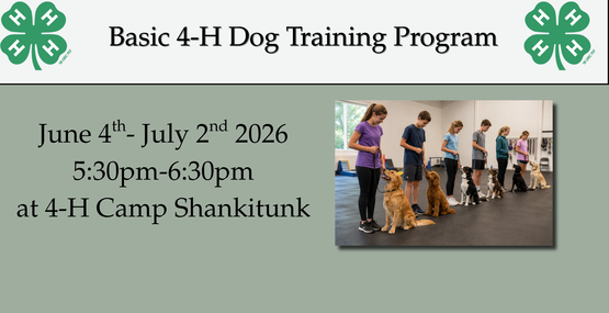 Dog Training