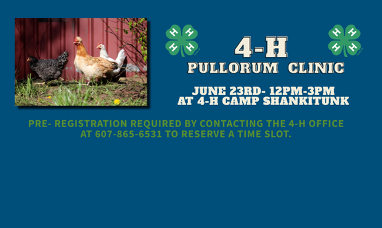 Pullorum Clinic