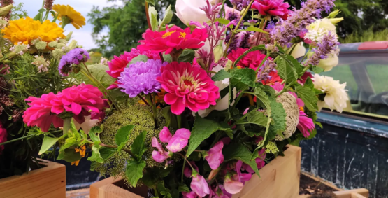 flowers in truck