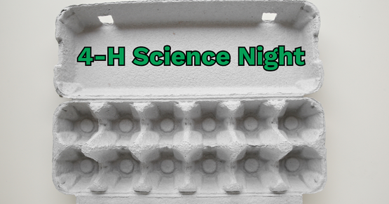 4-H science night egg drop challenge