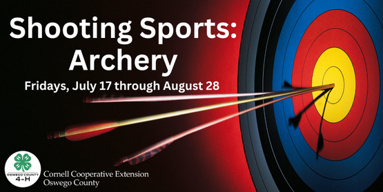 Archery 2026