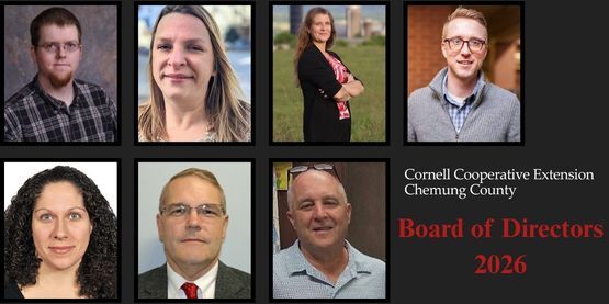 Board of Directors 2026