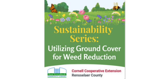 East Greenbush lib. program 