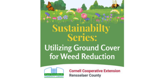 Sustainability Series