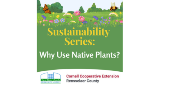 Native plants