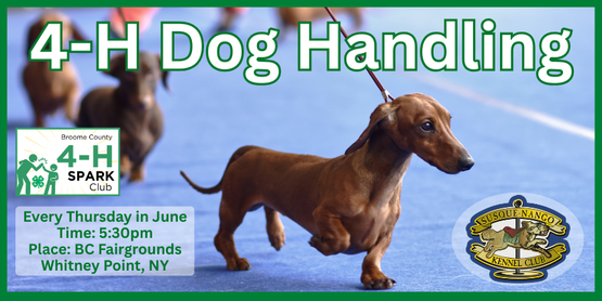This 4-week series is a great opportunity for those interested in showing their dogs at the Broome County Fair.  We encourage youth to attend all 4 sessions, since each week will build on the skills learned the week before. 

Each week the hands-on training sessions, led by Kara Swartwood of the SusqueNango Kennel Club, will focus on a different skill set needed for dog show handling. Participants will need a show lead, training treats, and appropriate footwear to run in. Members should bring their own dog for this program.*

June 4th - Show Leads; Gaiting Patterns
June 11th - Grooming; Individual Exams
June 18th - What to Wear; Free Stacking
June 25th - Showing in 4-H; Putting It All Together
Location: Broome County Fairgrounds, Whitney Point, NY

Time: 5:30pm-7:30pm

Who: Broome County 4-H Members

*All dogs attending need to have the dog project paperwork submitted to the 4-H office, including a copy of a current rabies certificate. 