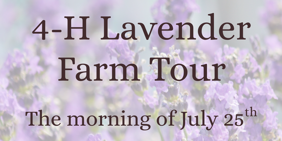 Lavender Farm Tour flyer