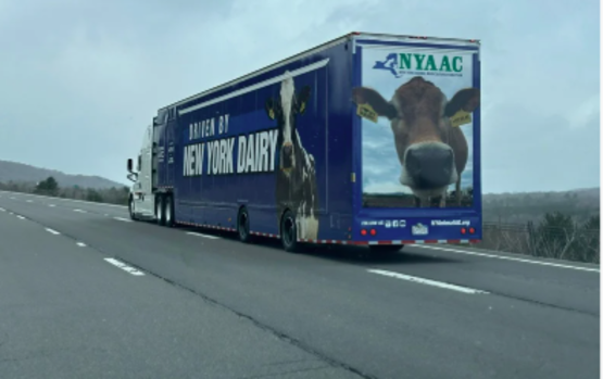 Mobile Dairy Experience 