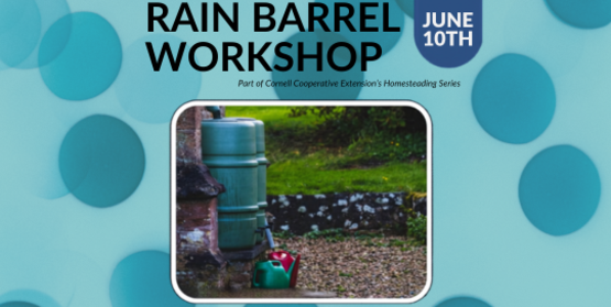 Rain Barrel Workshop