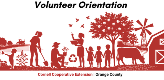 Volunteer Oreintatoin