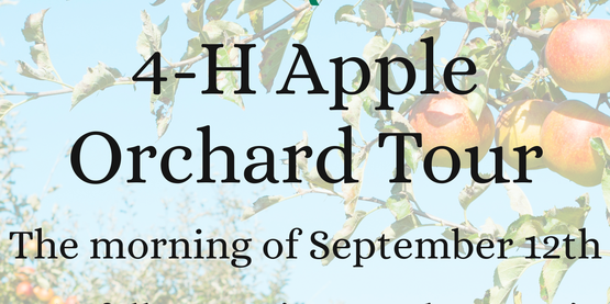 Apple Farm Tour - September