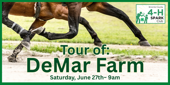 DeMar Farm is an elite Standardbred Training Farm located in Maine, NY. They race and train horses all year round, and our 4-H'ers have been welcomed to come and visit to see the hard work that happens at home, before they hit the racetrack. 4-H'ers will tour the stables, meet the horses and some of the trainers, and learn about potential careers in the horse industry. If we're in luck, 4-H'ers might get the chance to go on sulky ride around the track too!



Age Range: Open to 4-Hers ages 5+

Date: Saturday, June 27th
Time: 9am
Where: DeMar Farm, Town of Maine, NY