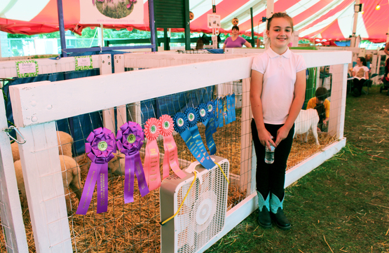 Jefferson County Fair