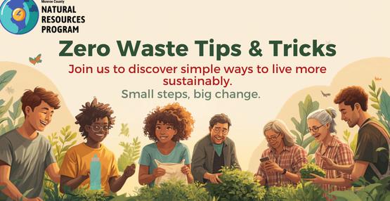 As part of the Natural Resources program at Cornell Cooperative Extension of Monroe County, we aim to promote everyday habits that help care for our planet, starting at home. Through education and outreach, we encourage simple, practical actions that support a healthier environment and more sustainable communities.