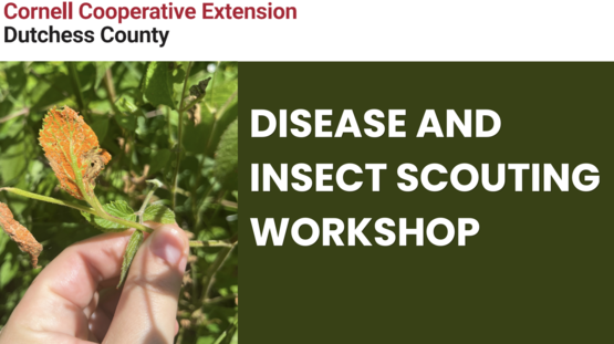 Join us June 24th at 6:00PM for a Disease and Insect Scouting Workshop! 