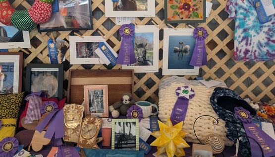 4-H Projects