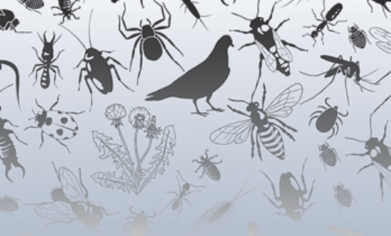 Each month, experts will share practical information and answer questions on using integrated pest management (IPM) to avoid pest problems and promote a healthy environment where you live, work, learn and play. We’ll end with an IPM Minute, and cover a specific action you can take in the next few days to help you avoid pest problems.