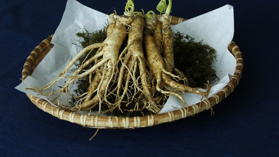 ginseng