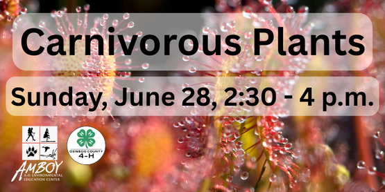 Carnivorous plants