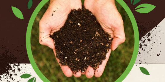 Composting 101 flyer 6.22.26