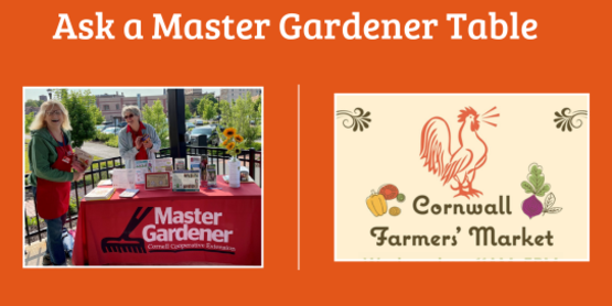 Ask a Master Gardener Tables
Cornwall Farmers' Market