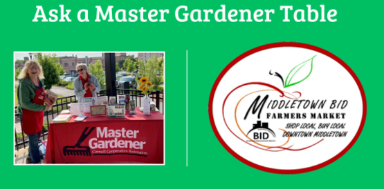 Ask a Master Gardener Table
Middletown Farmers' Market
