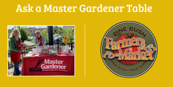 Ask a Master Gardner Table
Pine Bush Farmers' Market