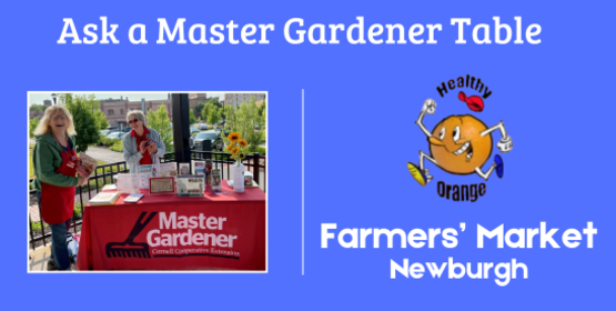 Ask a Master Gardener Table
Healthy Orange Farmers' Market - Newburgh
