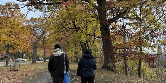 Tree Identification Walk Tour