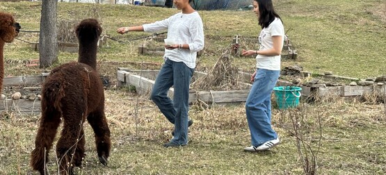 Chloe and Yen with alpacas at the Learning Farm in Ithaca NY
