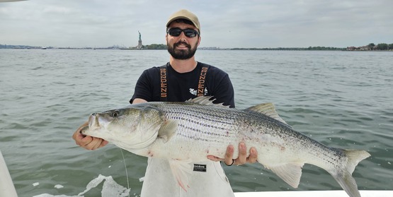 Fisheries Specialist Alex Mercado holds a Striped Bass caught off of NYC during our Striped Bass PCB project