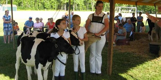 4-H youth showing dairy cattle at 2011 Cayuga County Fair