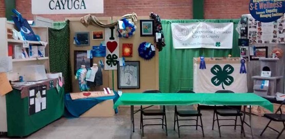 photo of the Cayuga 4-H display at the NYS Fair 2015