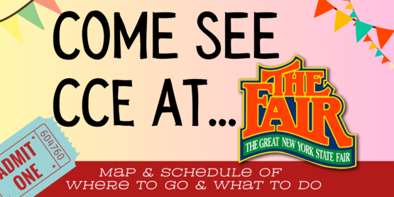 fair promo