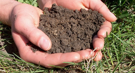 Soil Test