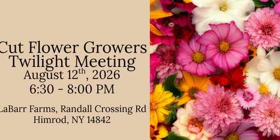 Cut Flower Twilight Meeting 