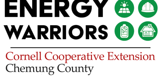 Energy Warriors Logo