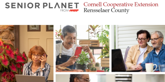 Senior Plant