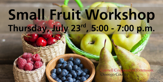 Small Fruits Workshop