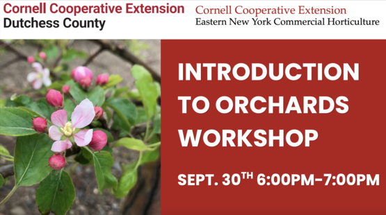 Introduction to Orchards Workshop Header