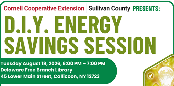 D.I.Y. Energy Savings Session 8/18/2026 Flyer