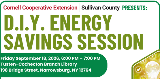 D.I.Y. Energy Savings Session 9/18/26 Flyer