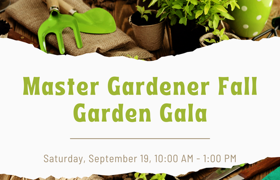 Fall Gala