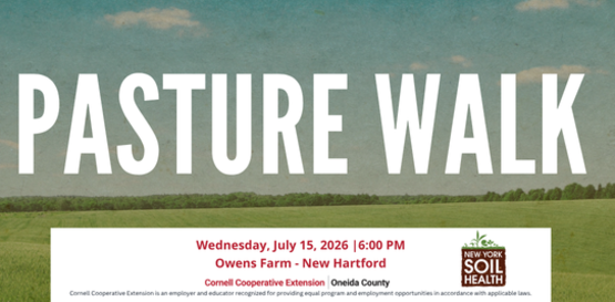 Pasture Walk 